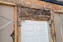 Termite-7-Insurance-Repair-scaled